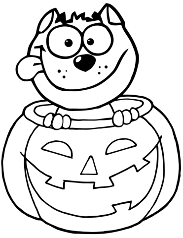 Black Cat Sitting Inside Of A Pumpkin Coloring Page